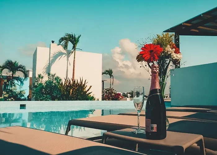 The Gallery In The Heart Of Playa Del Carmen